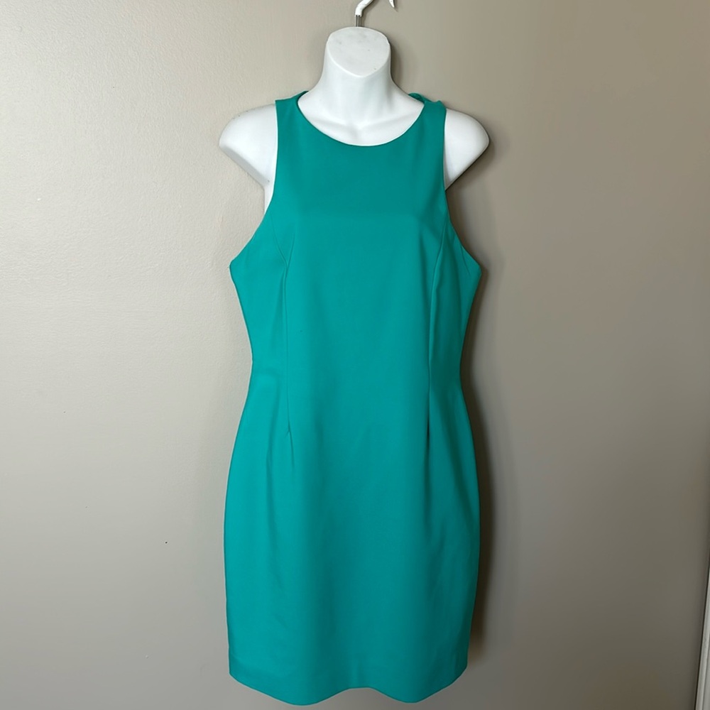 Zara dress
